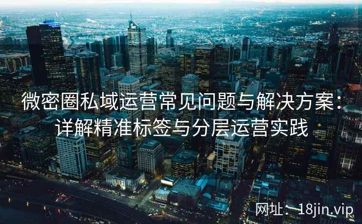 微密圈私域运营常见问题与解决方案：详解精准标签与分层运营实践